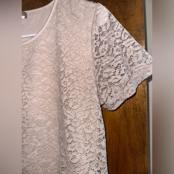 Calvin Klein Blush Lace Top - Picture 6 of 11